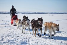 Winter in Luleå